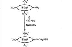 Figure S2008101276757D00101