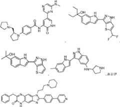 Figure 0007410877000017