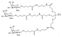 Figure 2023012548000090