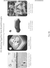 Figure imgf000070_0001