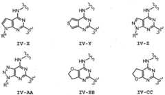 Figure imgf000097_0002