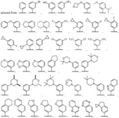 Figure imgf000073_0002