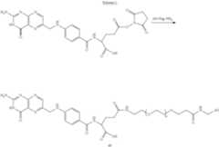 Figure US08580243-20131112-C00070