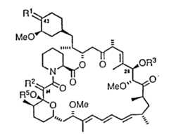 Figure 931165571_IMG5