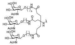 Figure 0007429103000205