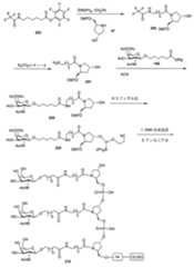 Figure 0007429103000371