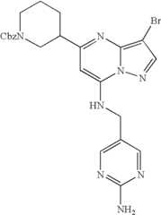 Figure US07119200-20061010-C01900