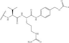 Figure US09155803-20151013-C00008