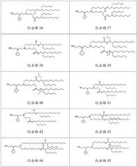 Figure BDA0003154168970000961