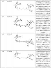 Figure BDA0002964098100002781