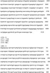 Figure IDA0002935257620000101