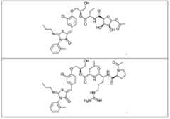 Figure imgf000047_0002