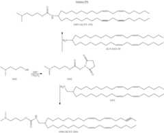 Figure US09220683-20151229-C00490