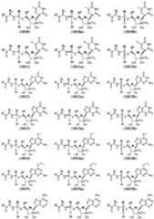 Figure imgf000063_0001