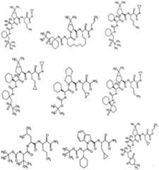 Figure imgf000066_0002