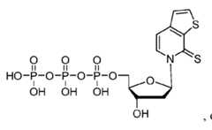Figure imgf000054_0004
