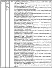 Figure BDA0000429500830000331