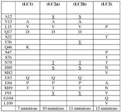 Figure imgf000051_0001