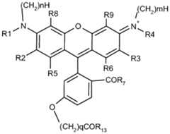 Figure imgf000019_0001