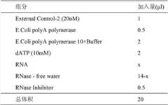 Figure GDA00002793834600041