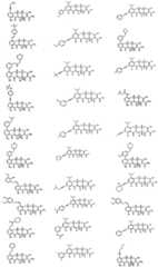 Figure imgf000077_0001