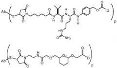 Figure imgf000061_0002