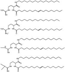 Figure imgf000032_0002