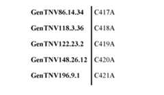 Figure imgf000117_0001