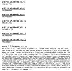 Figure 112017102445525-pct00013