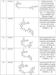 Figure BDA0002964098100002671