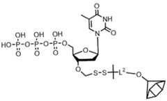 Figure imgf000260_0002