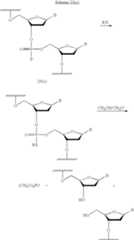 Figure US06825009-20041130-C00080