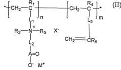 Figure imgf000025_0001