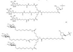 Figure imgf000080_0003