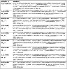 Figure imgf000015_0002