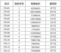 Figure BDA0002765673360000021