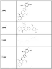 Figure imgf000012_0001