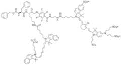 Figure imgf000012_0001