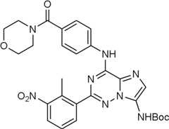 Figure BDA0000051855290000562