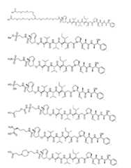 Figure imgf000223_0001