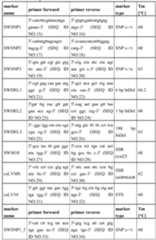 Figure imgf000048_0001