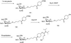 Figure imgf000623_0002