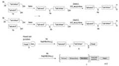 Figure imgf000102_0001