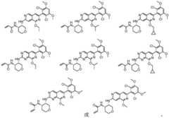 Figure FDA0002516046230000311