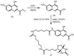 Figure imgf000063_0001
