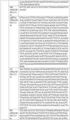 Figure BDA0004033970230005651