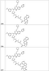 Figure BDA0002268634580002951