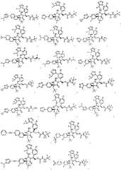 Figure FDA0002446516740000281