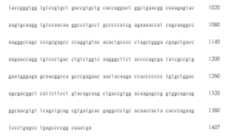 Figure 108123466-A0305-02-0323-158