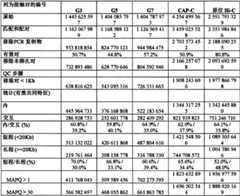 Figure BPA0000297503240000321